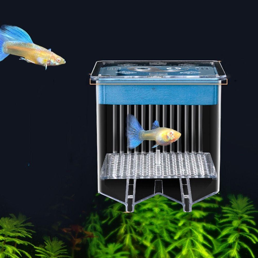 Permeable Floating Hatching Box Transparent Aquatic Life Hatchery Guppy Breeder Box  Fish Breeding