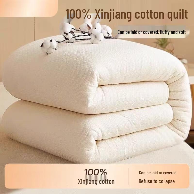 

Xinjiang Cotton Quilt Insert