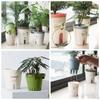 Self Watering Plant Pots Plastic Flowerpot Planter with Drainage Holes Hydroponics Flower Pot Plastic Lazy Automatic Plants Pot