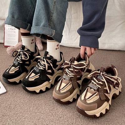 Herfst Chunky Street Style Dames Casual Schoenen Designer Merk Vrouw Veterschoenen Gevulkaniseerde Schoenen Sneakers voor Dames Veelzijdig