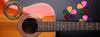 MusicMate MM-A90 AcousticPack Acoustic Guitar Accessory Kit