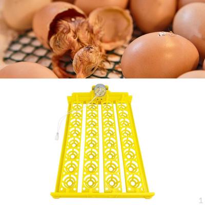 Automatic Egg Turner 32 Eggs for Chicken Supplies