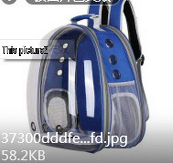 Transparent Portable Pet Backpack - Breathable Double Shoulder Travel Carrier for Cats