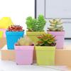 10pcs Mini Basin Square Flower-Pot Succulent Plant Trays Garden Nursery Pots Flowerpot For Home Office Decor-DIY