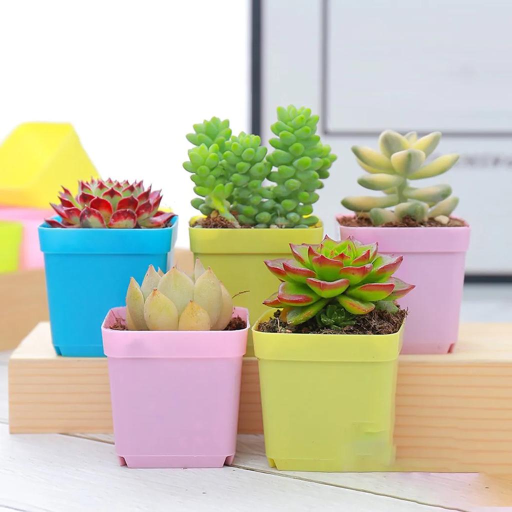 10pcs Mini Basin Square Flower-Pot Succulent Plant Trays Garden Nursery Pots Flowerpot For Home Office Decor-DIY