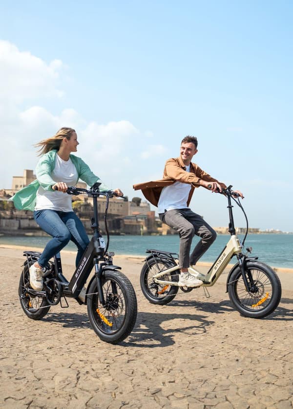 ENGWE L20 3.0 Boost 250W 48V 13.5Ah Electric Bike 120km Range 2H Fast Charge Full Suspension Hydraulic Brake E-Bike