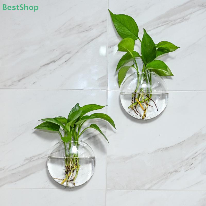 Wandhängendes Glas Pflanzen-Terrarium Behälter Vermehrungsstation Wandmontierte Blumenvasen Luftpflanzen-Terrarium Heim-Büro-Dekor