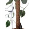 Glass Waterer for Flower Pots, 2 Pieces, 200ml