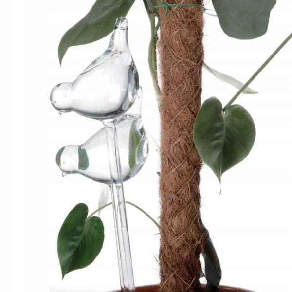 Glass Waterer for Flower Pots, 2 Pieces, 200ml