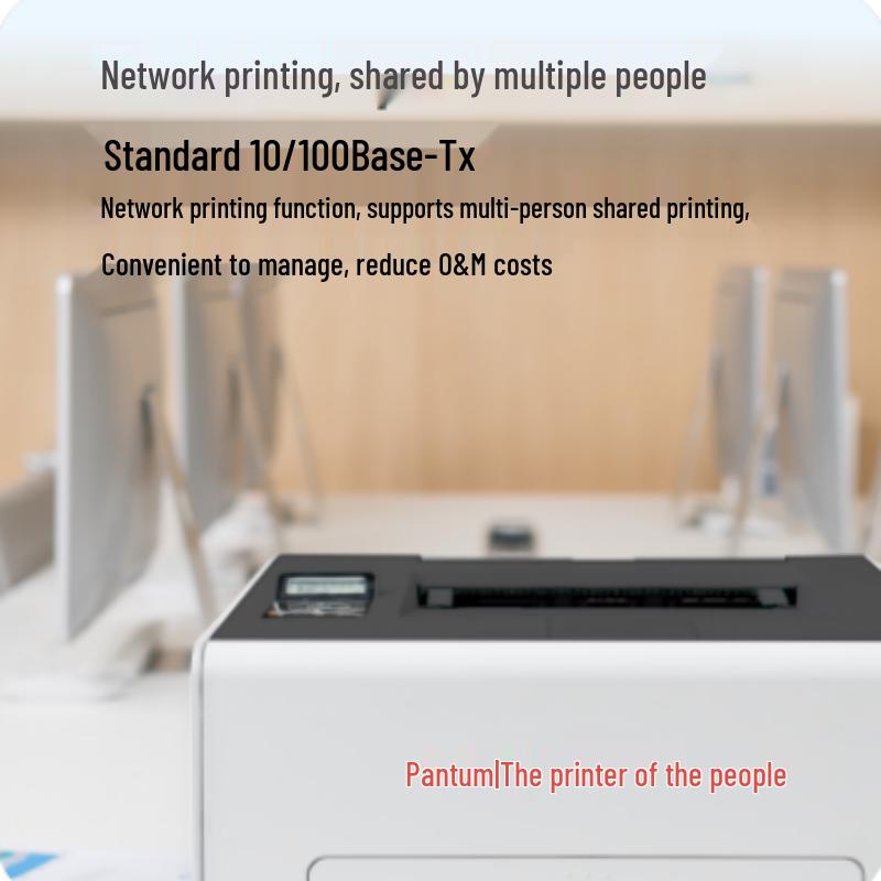 PANTUM CP2165DN Color Laser Printer CN plug (adapter included)