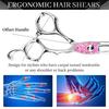 6.0-Inch Napsen Hairdressing Barber Scissors - Straight & Thinning Shears