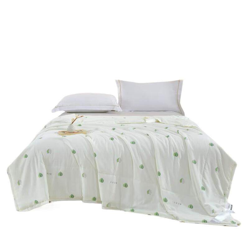 

BAIWEISI Cloud Soft Summer Quilt