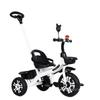 Large Size Children's Tricycle & Stroller for Ages 1-6