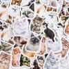 46Pcs Cute Cat Diary Decorative Boxed Stickers Kawaii Pets Scrapbooking Label Diary Album Journal Planner Student Supplies