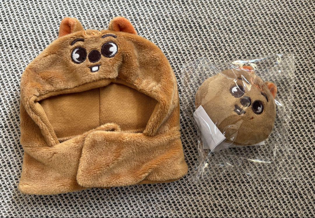 

[USED] Stray Kids Penlight Cover Magnet Han SKZ Hank Okka