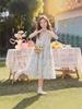 Girls' Sleeveless Blue Chrysanthemum Summer Dress - 2026 Casual Stylish Children's Dress