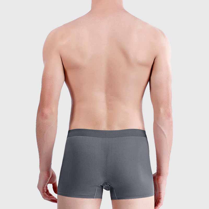 Mens Boxer Shorts Ice Silk Men Panties Seamless Underwear Man Underpants Panties Male Ultra-thin Breathable Briefs