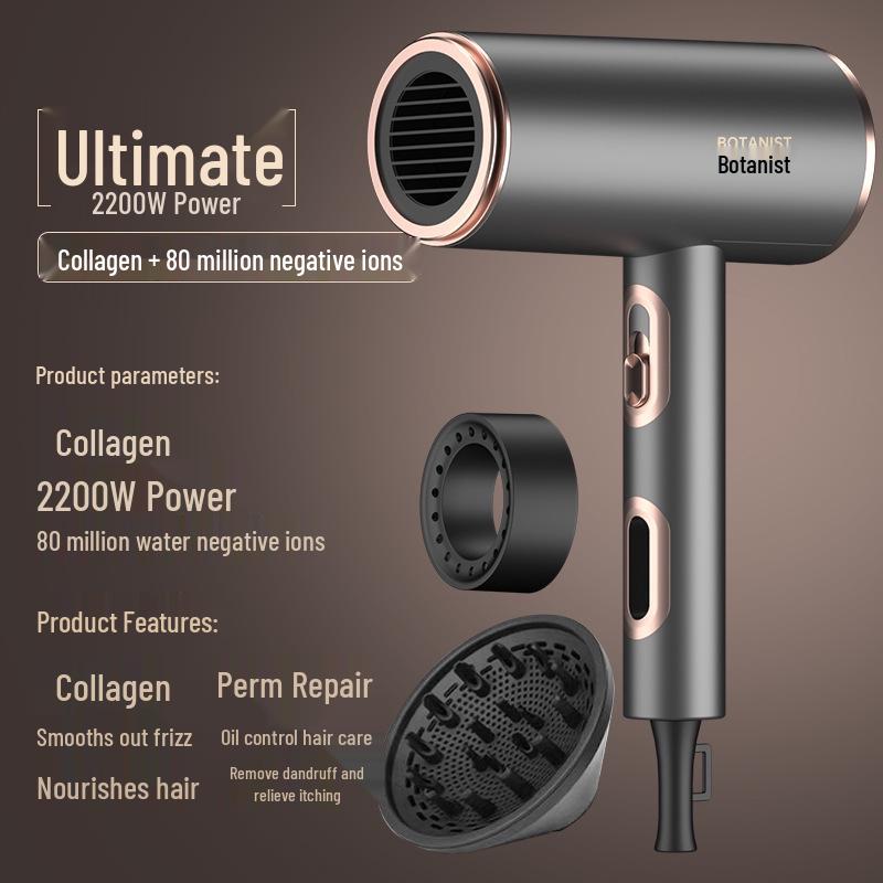 High-Power Quiet Wireless Hair Dryer with Large Airflow and Negative Ion Technology - Germany