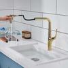 TLXT Kitchen Pull-Out Sink Faucet