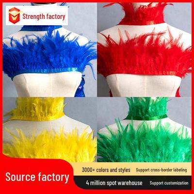 Frange en plumes colorées à pointe blanche pour vêtements, artisanat, bijoux, décorations de coiffes indiennes DIY