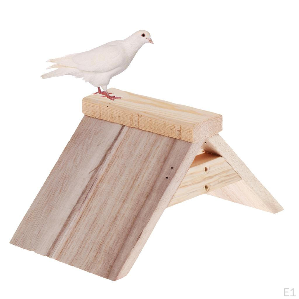 Wood Block Roost Perches Resting Standing Dwelling Bird