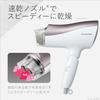 Panasonic Hair Dryer Ionity Quick Drying Large Air Volume Brown Tone EH-NE5G-T