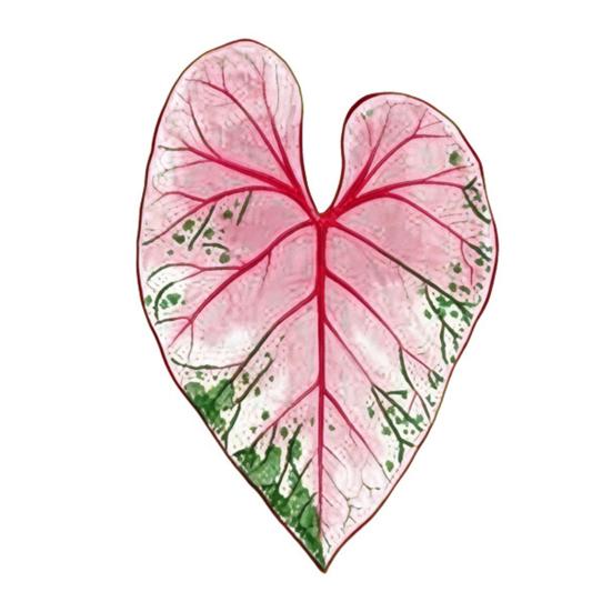Acrylic Tropical Plant Coasters, Heat Resistant Non-Slip Drink Coasters, Easy Clean Leaf Shaped Pads for Coffee Table Desk Decor, Home Gift