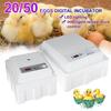 Digital Incubation Box Egg Incubator Automatic Suitable for Hatching Snake Lizards Reptiles Reptile Egg Box Reptile Breeding Box AC220V 30W