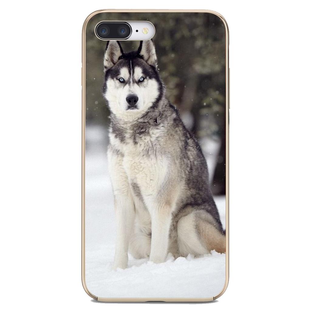 For Xiaomi Mi3 Mi4 Mi5 Mi6 Mi 9 Lite 11t 10 10t 11 Lite Redmi Note Pro Ultra TPU Covers Husky Dog