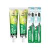 Tea Extract Toothpaste & Toothbrush Set