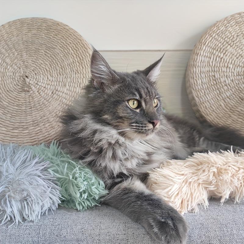 Plüsch-Kissen-Spielzeug Katze mit Katzenminze Weiches, tröstendes Kissen für Katzen und Kätzchen