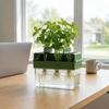 A Planting Device Specifically Designed For Green Onions, Featuring A Hydroponic System That Allows For Repeated Growth