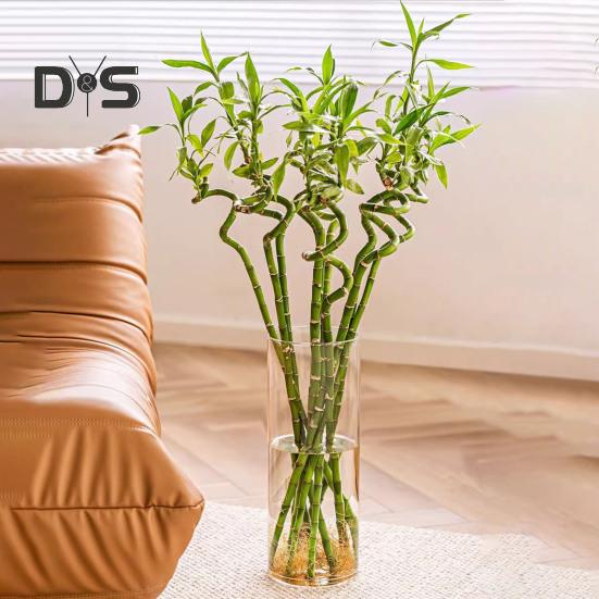 Clear Cylinder Flower Vase Wedding Party Dining Table Centerpiece Hydroponic Flower Holder Transparent Plants Container Decoration