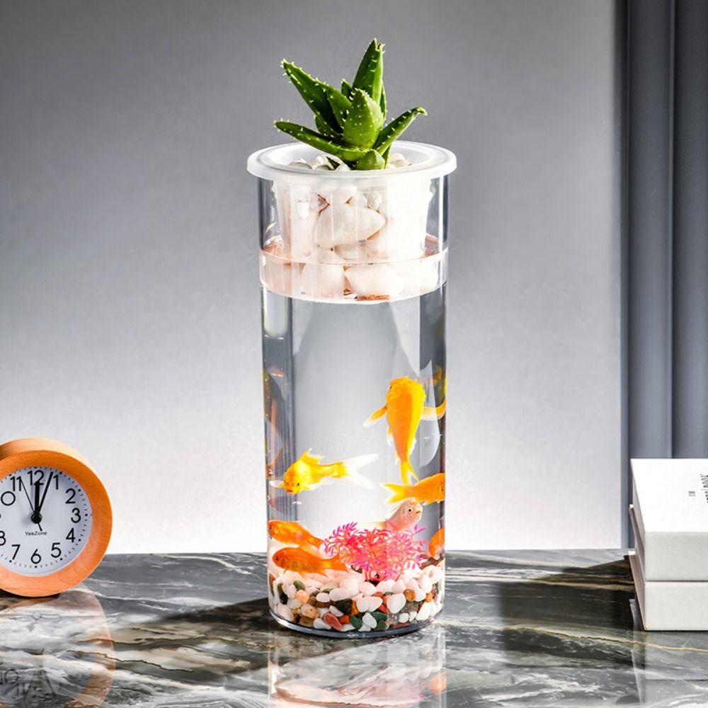 Cylinder Hydroponic Planter Vase Transparent Hydroponic Fish Tank  for Fish Green Plant