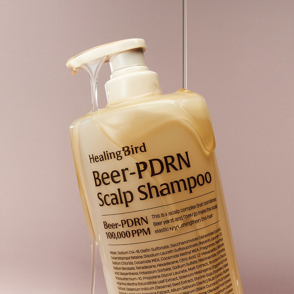 Healing Bird Beer PDRN Scalp Shampoo 1000ml Hair Loss Care Beer Yeast PDRN Korean Shampoo