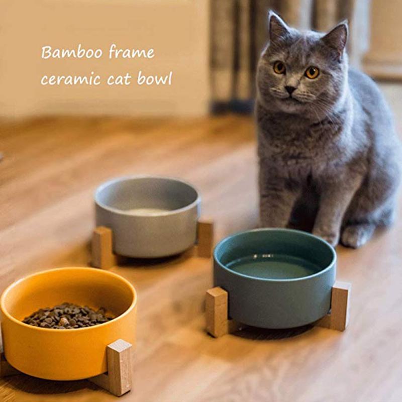 large cat bowl