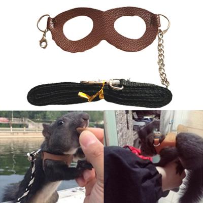 Squirrel Harness Anti-knot Anti-biting Faux Leather Pet Leash Chest Strap for Daily Life
