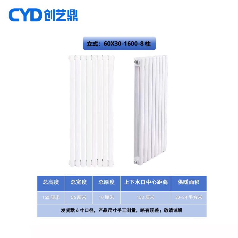 Chuang Yi Ding Steel 6030 Two-Column Hot Water Radiator