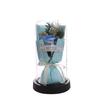 Qixi Festival Valentine's Day Gift Glass Cover Immortal Rose Soap Flower for Boyfriend and Girlfriend Exquisite Ornament