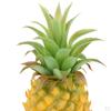 Obst Gemüse Künstliche Ananas Modell Dekoration Küchenspielzeug Requisite