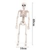 Skeleton Flexible Human Skeleton Model Car Decoration Anatomy Skeleton People Active Model