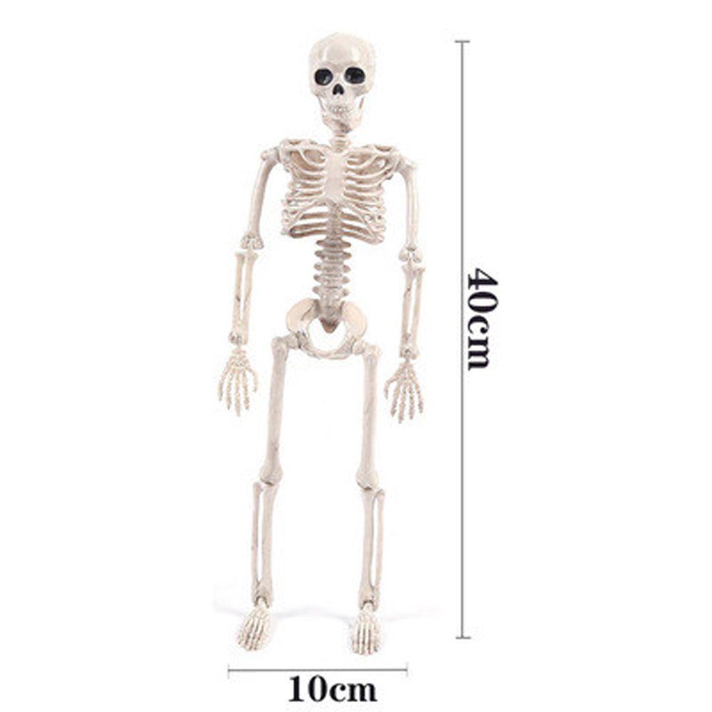 Skeleton Flexible Human Skeleton Model Car Decoration Anatomy Skeleton People Active Model