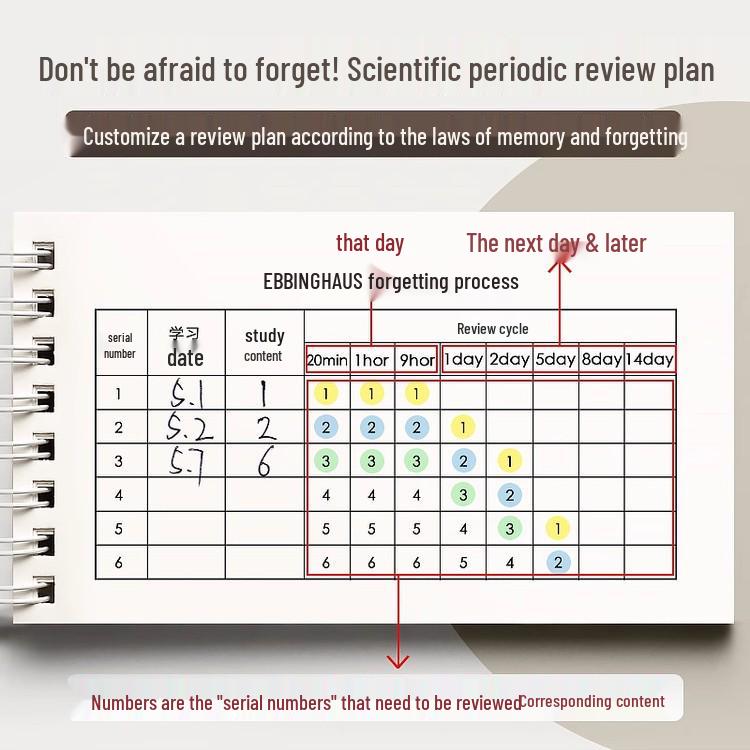 Neuling-Spezial: Taschen-Englisch-Wortschatzbuch für Mittel- und Oberschüler (2er-Pack)