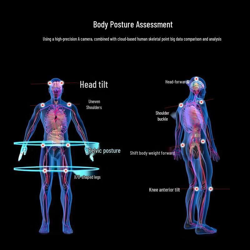 Wenzhiwu Professional Posture and Fitness Assessment Analyzer