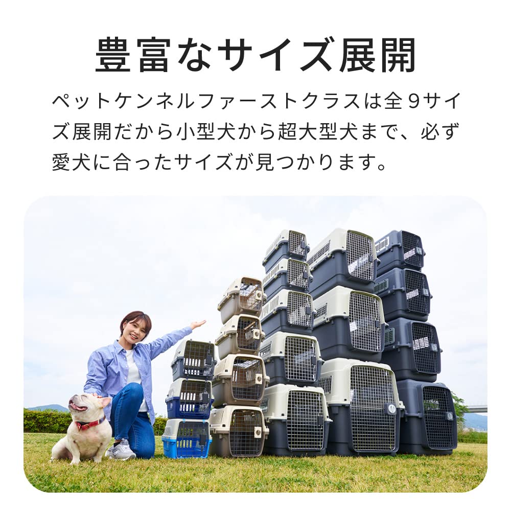 Pet Kennel First Class L60 Width 40 X Depth X Height Cm Body Weight 3 Kg Dog Carrier Cat Carrier Pet Carrier Cage Hard Carrier With Handle Indoor