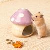 Ceramic Hamster House Cute Hamster Hide Bed Small Animal Hideout Hideaway House for Hedgehog Dwarf Hamster Gerbils Accessories