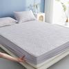 Waterproof Fitted Bed Sheet with Elastic Band Anti-slip Durable Cover Mattress Protector,for Single Double King full Queen