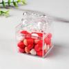 12Pcs Bowknot Candy Box Clear Plastic Party Treat Box For Wedding Gift Packaging And Birthday Anniversary Celebration