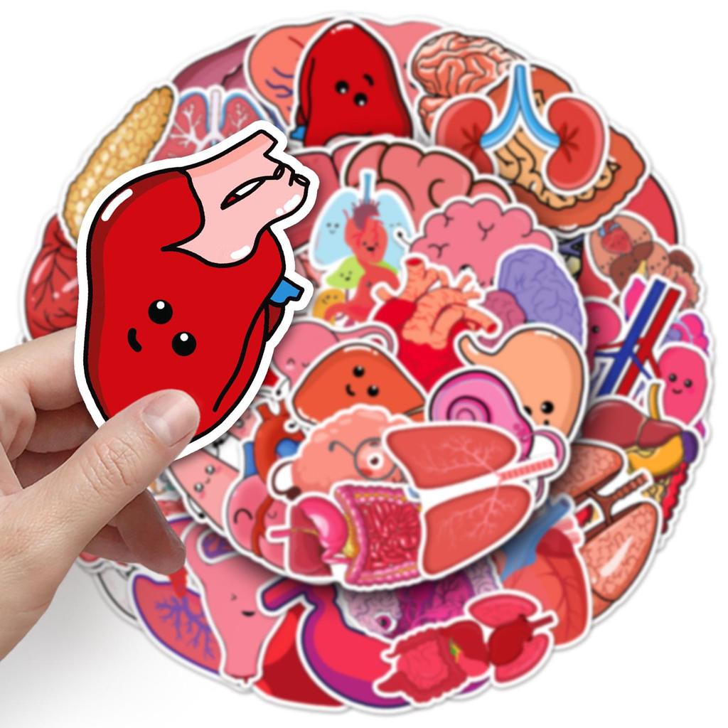 50 Human Organ Doodle Stickers for Decorating Phone Cases & Suitcases