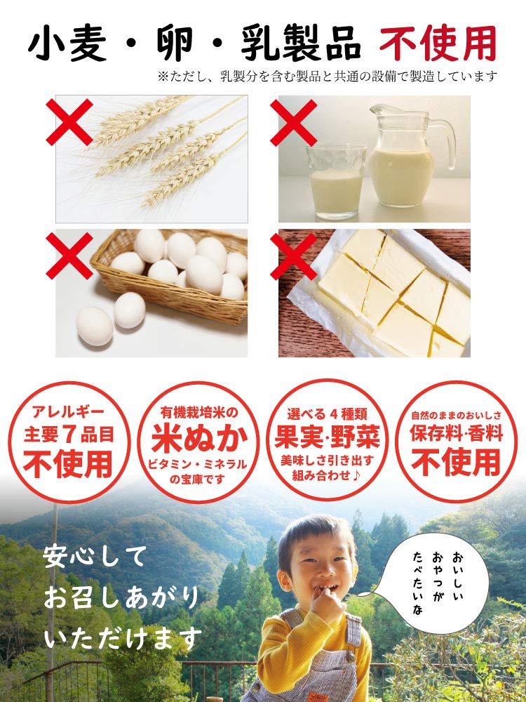 Rice Flour Cookies Gluten Free Brown Rice Sweets Additive Free Rice Bran Biscotti 40g Carob Hyuganatsu Apple Cinnamon Pumpkin Azuki Mango